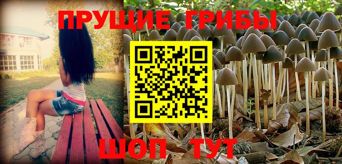 Галлюциногенные грибы Magic Shrooms Саратов